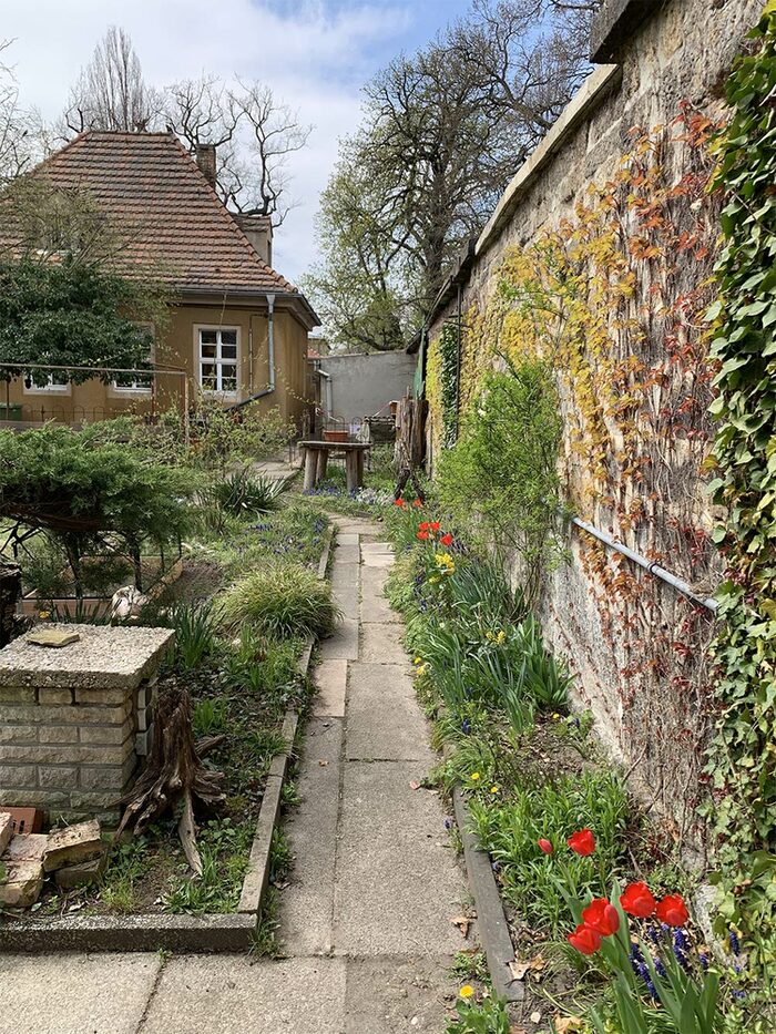 Garten am Haus der Natur vor der Neugestaltung