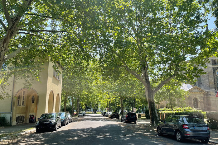 Östliche Nebenstraße am Trinitatisplatz vor der Neugestaltung