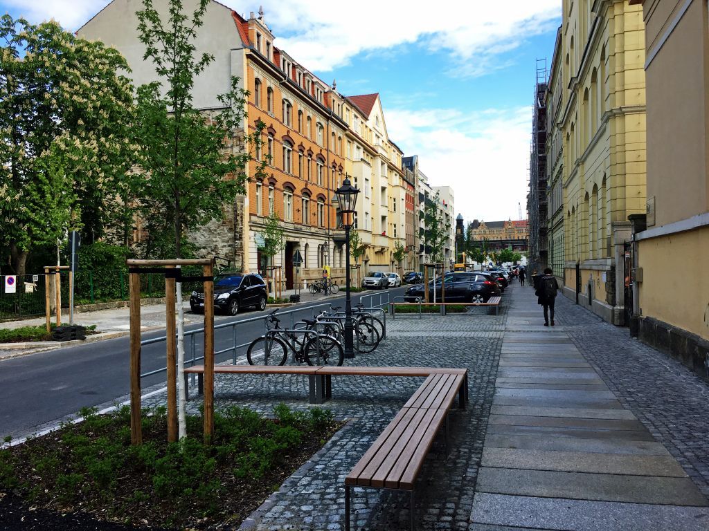 Im Bild sieht man Bänke und neu gepflanzte Bäume für die Straßenraumgestaltung Seminarstraße.