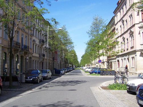 Blick in die ausgebaute Zwickauer Straße mit Bäumen im Frühling.