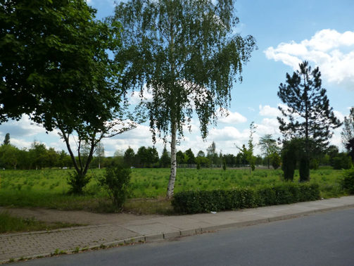 Gebiet am Rudolf-Bergander-Ring im Jahr 2012 als Grünfläche nach dem kompletten Abriss aller Wohngebäude