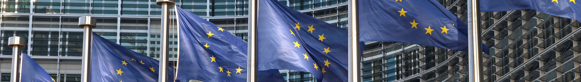 Auf dem Bild sind sind mehrere Fahnenmasten mit der EU-Flagge zu sehen.