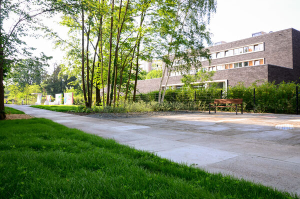 Auf dem Bild ist die neu gestaltete Fläche vor der Rettungswache in der Johannstadt zu sehen.