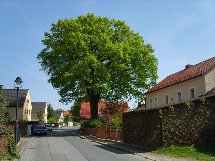 Blick in den historischen Dorfkern auf den Bauernwerg in Rähnitz