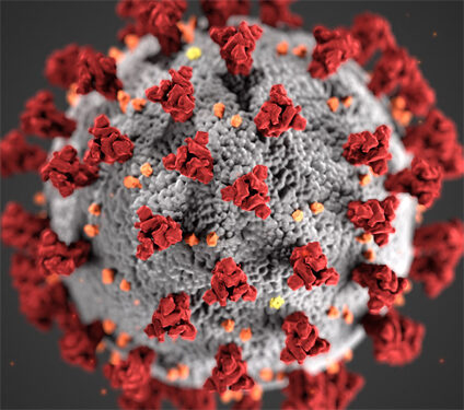 3D-Grafik eines Coronavirus