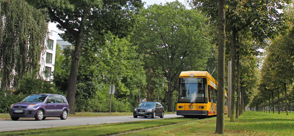 Foto von zwei fahrenden Autos und einer Tram auf der Stübelallee am Rande des Großen Gartens