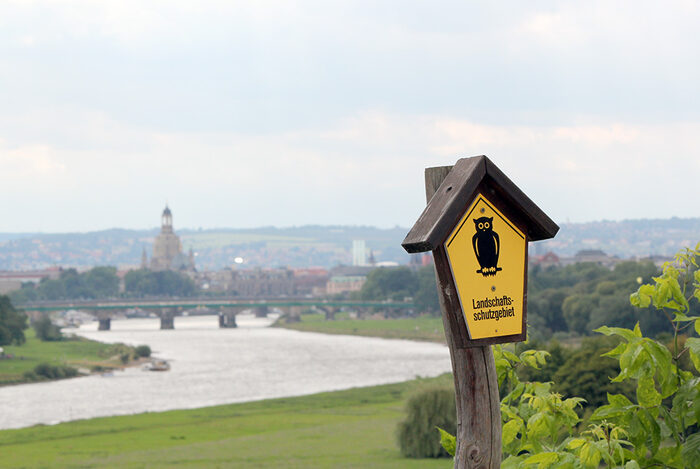 Schild mit schwarzer Eule auf gelben Grund, dahinter die Silhouette Dresdens