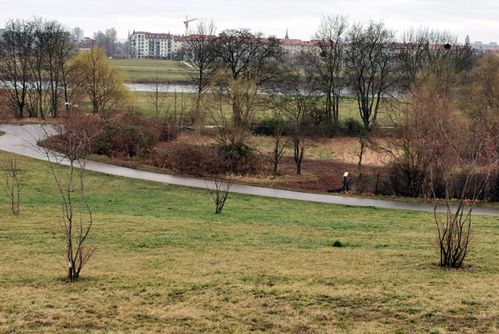Grünfläche am Hang mit einigen Sträuchern, einem Weg, einem verwilderten Garten, im Hintergrund die Elbe