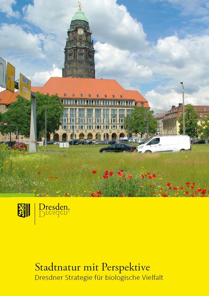 Titelbild der Broschüre „Stadtnatur mit Perspektive“ mit einer Wiese und Autos im Vordergrund und dem Dresdner Rathaus und der goldenen Figur auf dem Turm des Neuen Rathauses im Hintergrund.