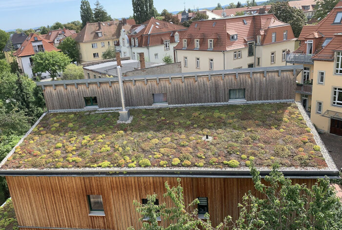 Foto eines extensiv begrünten Flachdachs