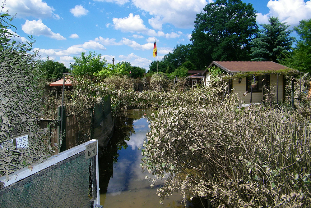 Überschwemmter Kleingarten in der Kleingartenanlage Elbtal II