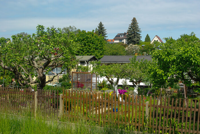 Garten im Kleingartenverein Pieschen