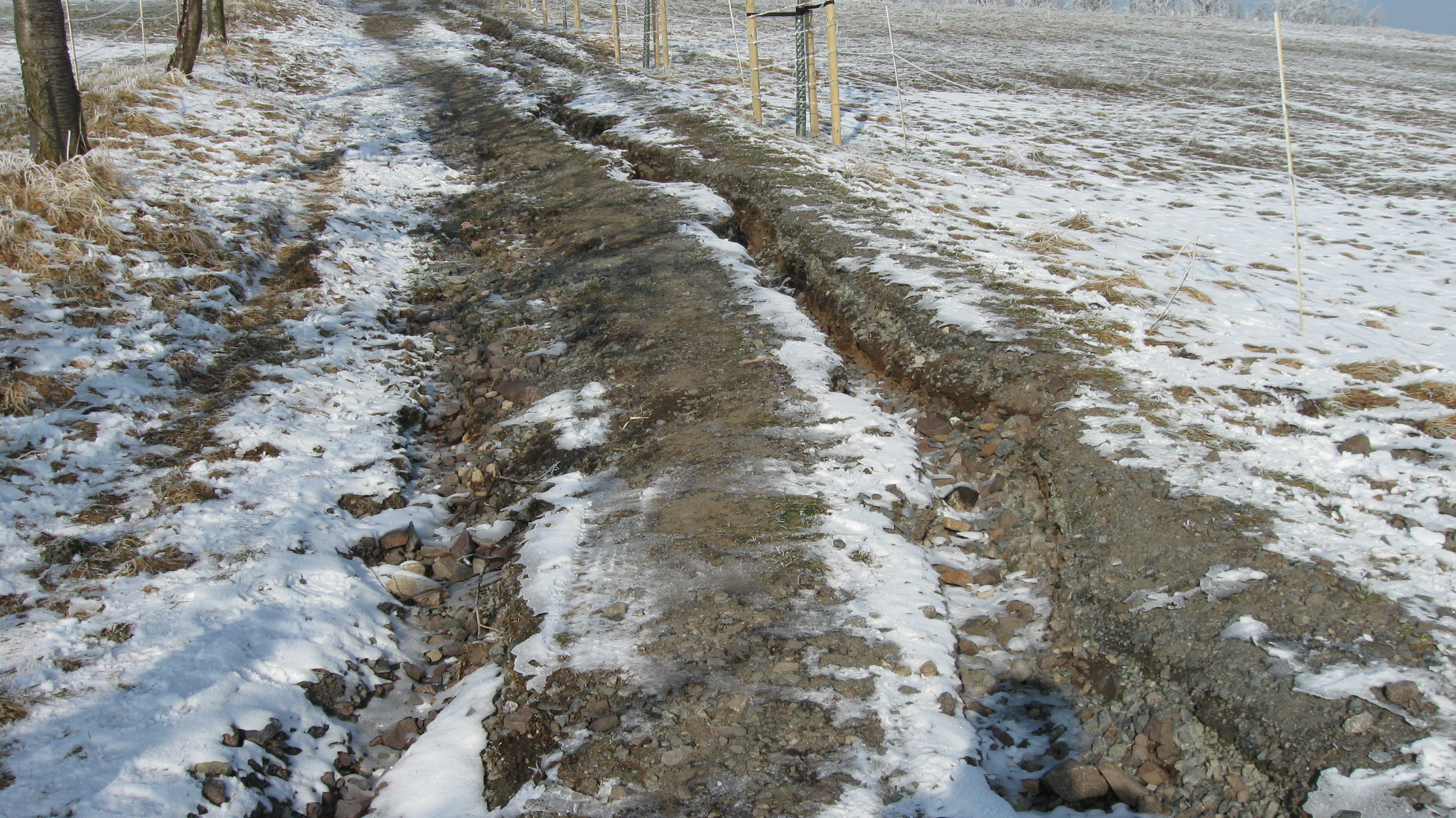 Feld zum Teil mit Schnee bedeckt