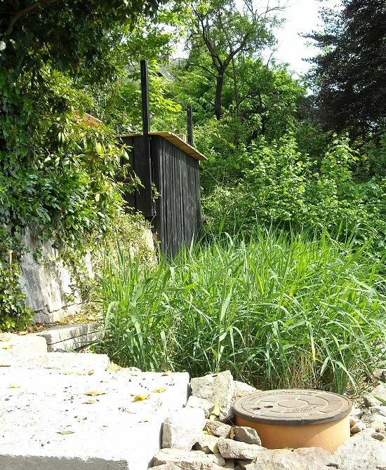 Pflanzenbeet mit überbauter Vorklärung, im Hintergrund Bäume, Sträucher und ein Schuppen