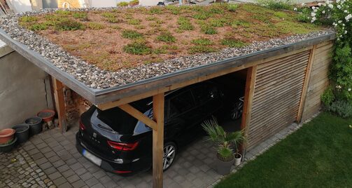 Der 3. Platz in der Kategorie "Dachbegrünung - Privateigentümer" ging an Familie Leonhardt aus Lockwitz für die Bepflanzung ihres Carports.