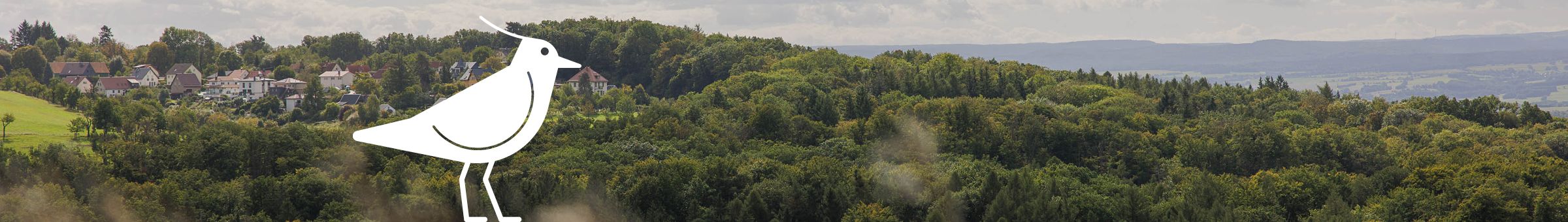 Foto einer Landschaft mit einem weißen gezeichneten Vogel im Vordergrund