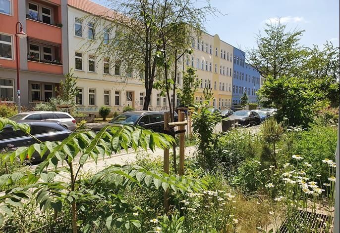 Vorgarten Friesenstraße in Magdeburg mit Wasserrinne in Gehbahn, die der Bewässerung der Straßenbäume dient als Beitrag zur Entsiegelung, Biodiversität und Schönheit