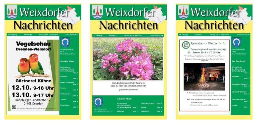 1024-Panorama 2019.jpg