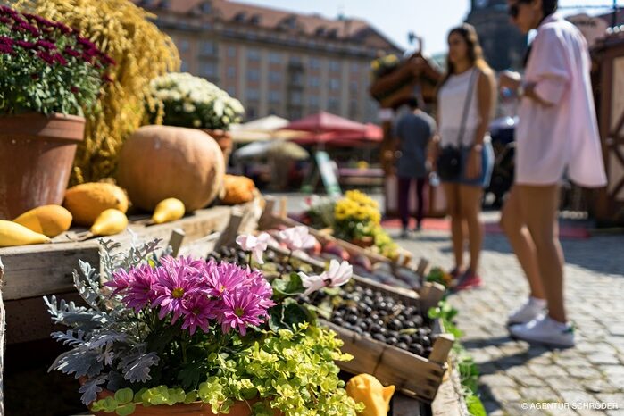 Junge Frauen betrachten die Dekoration auf dem Dresdner Herbstmarkt