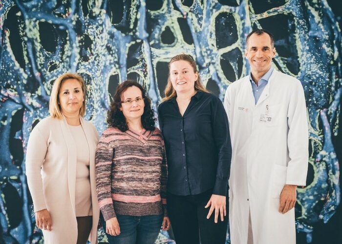 Das Team: Prof. Maria Teresa Pisabarro, Dr. Gloria Ruiz Gómez, Dr. Juliane Salbach-Hirsch und Prof. Lorenz Hofbauer (v.l.n.r.)