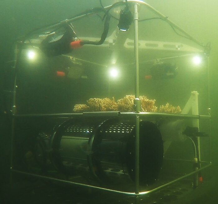 The Fraunhofer SOT's mobile underwater laboratory "Minilab" enables the testing of new sensors as well as new materials and antifouling coatings under maritime conditions.