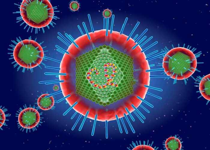 Das Leukämie-Virus HTLV-1 ist wenig bekannt aber sehr gefährlich. Die Forschung zu einer Genschere könnte bei der Therapie helfen.