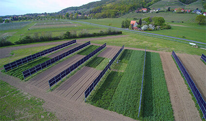 Feld mit Solarmodulen