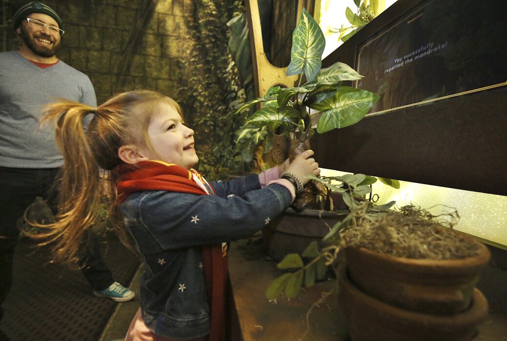 Harry Potter The Exhibition