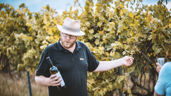 Weinberge-Erlebnistag