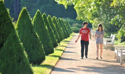Spaziergänger auf einer Allee des Großen Gartens umringt von Bäumen