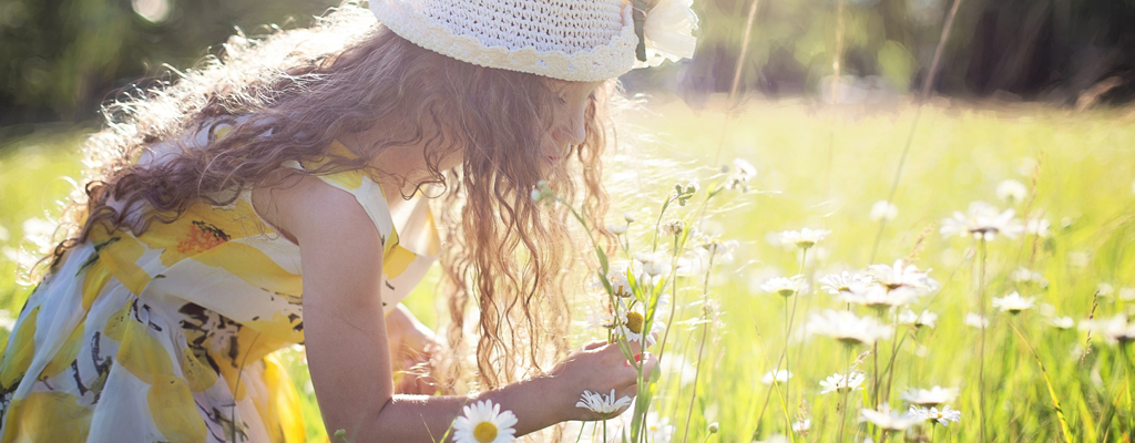 Ein kleines Mädchen mit wellig-braunen Haaren steht in einer blühenden Wiese und pflückt ein Strauß Margeriten.