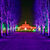 Lichtinstallation „Magische Maillebahn“ im Christmas Garden Dresden