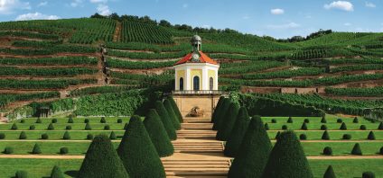 Erlebnisweingut Schloss Wackerbarth in Radebeul mit gepflegten Grünanlagen, Weinhängen und Stufen hinauf zum Belvedere.