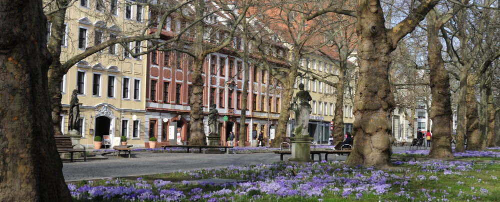 Die Hauptstraße mit Restaurants, Geschäften und Blumenwiese.